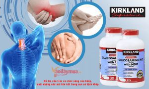 گلوکوزامین اچ سی ال کرکلند با MSM
